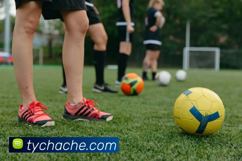 太阳城网站服务体系