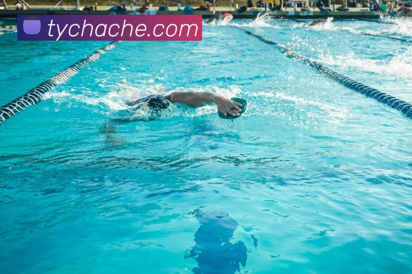 太阳城网站APP 体育赛事宣传图